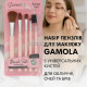 Набір пензлів для макіяжу Gamola, 6 в 1 (рожевий)
