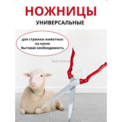 Ножиці для стрижки овець та вовни (універсальні, сталеві, 35 см)