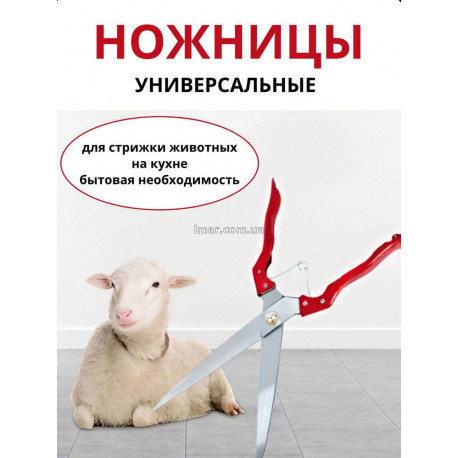 Ножиці для стрижки овець та вовни (універсальні, сталеві, 35 см)